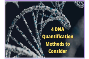 DNA Quantification Methods 